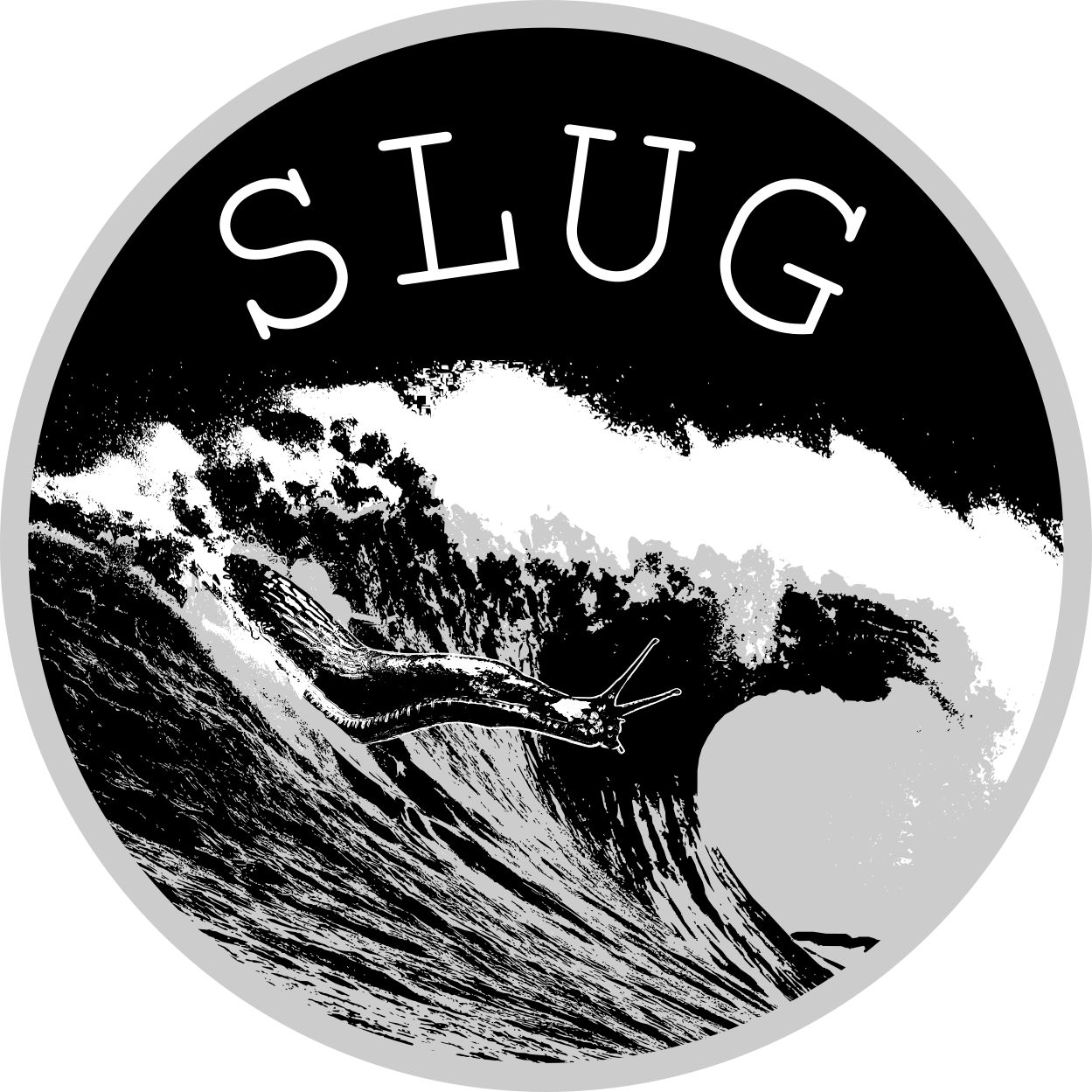 surf_slug